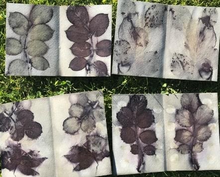 Eco dyeing